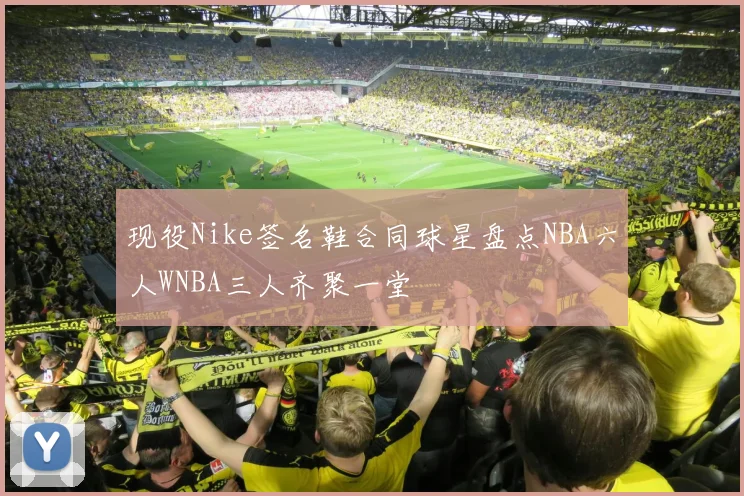 现役Nike签名鞋合同球星盘点NBA六人WNBA三人齐聚一堂