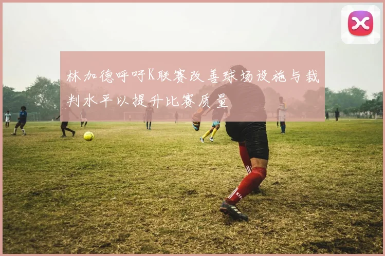 林加德呼吁K联赛改善球场设施与裁判水平以提升比赛质量