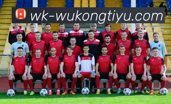 悟空体育平台生态图