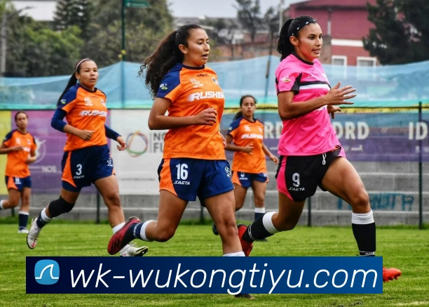 悟空体育APP 封面图